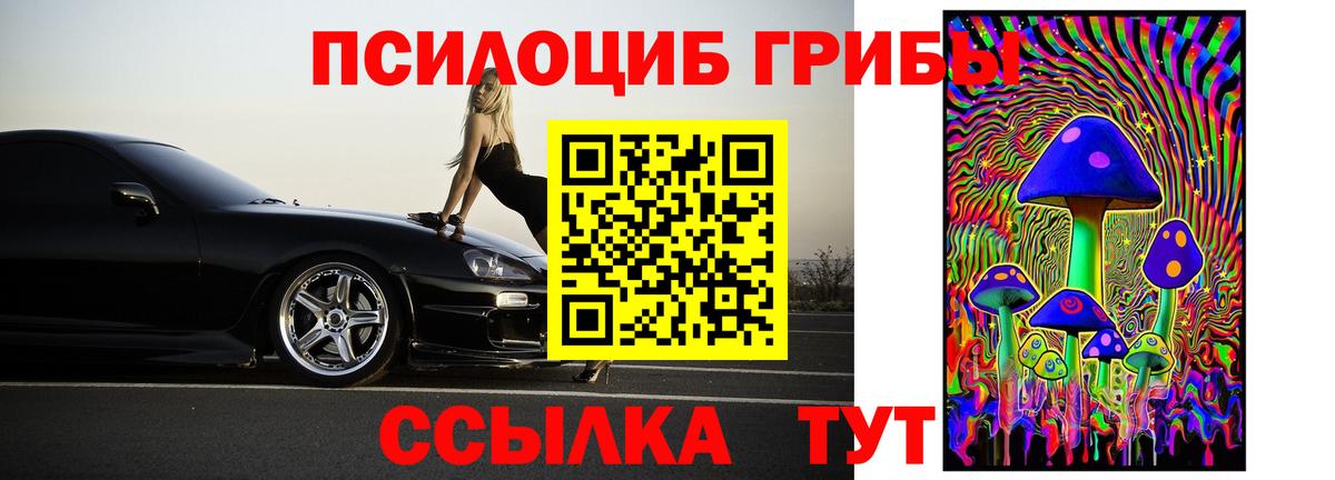 Галлюциногенные грибы Psilocybe  Вход с VPN  Новомосковск 